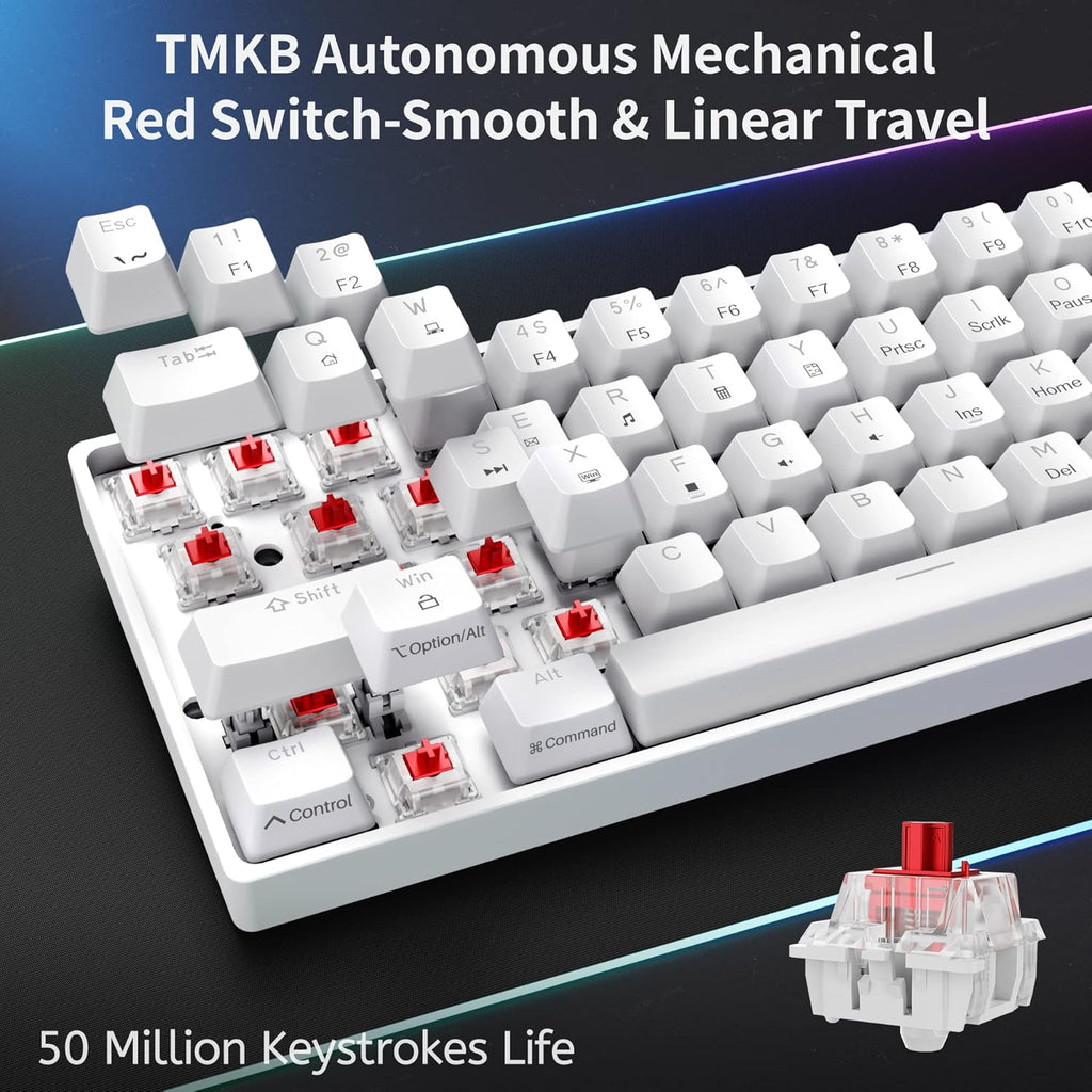 DK61SE 60% Gaming-Tastatur, US-QWERTY, Rote Schalter, Weiß