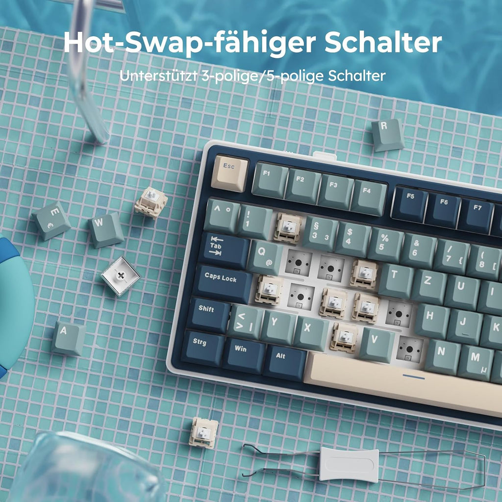 RK ROYAL KLUDGE R75 Mechanische Tastatur Kabellos 75% Blau Creamy Switches