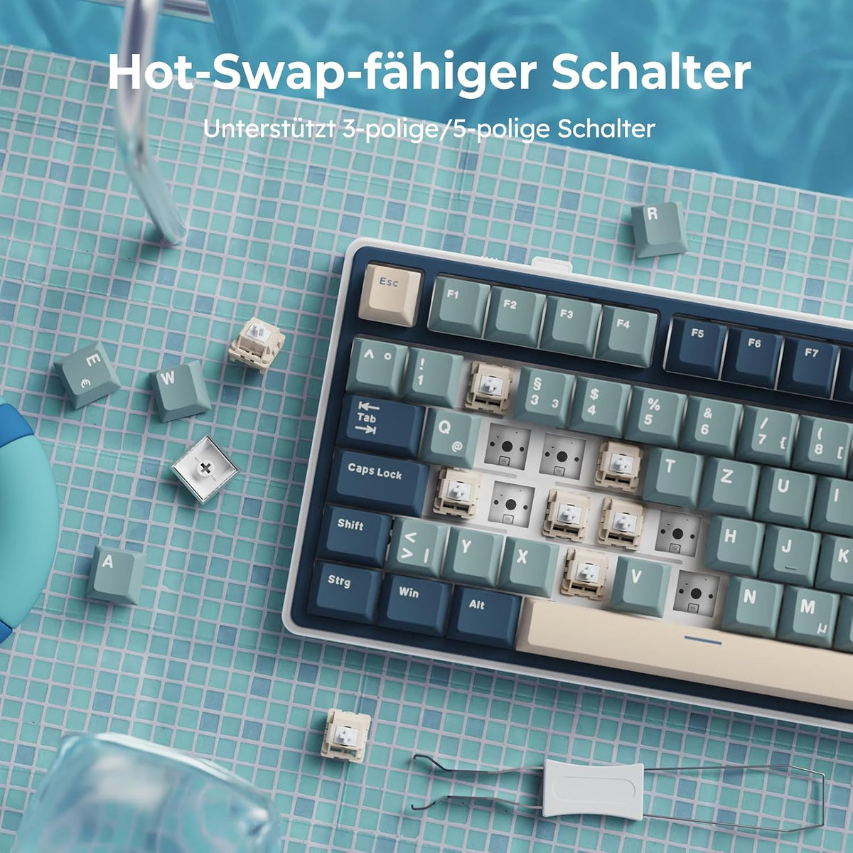 RK ROYAL KLUDGE R75 Mechanische Tastatur Kabellos 75% Blau Creamy Switches